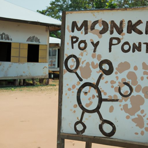 The Impact of Monkeypox on Communities