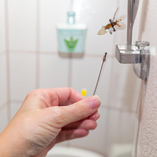 Investigating the Health Risks Associated with Gnats in the Bathroom