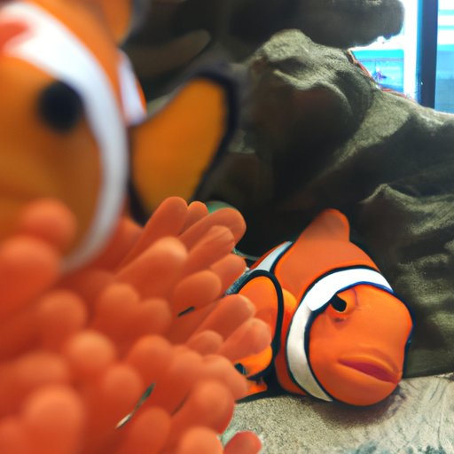 Exploring the Pros and Cons of Sleeping with Nemo