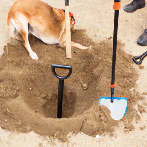 Investigating the Effects of Stress on Dog Digging