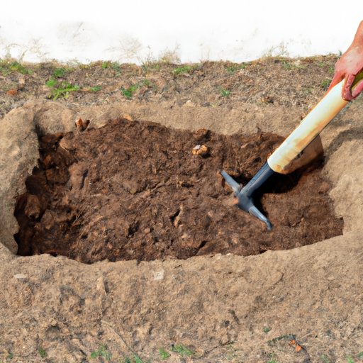 Analyzing the Benefits of Bed Digging for Dogs