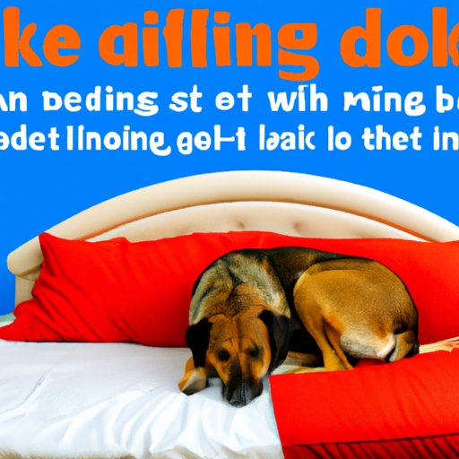 Debunking Common Myths About Dog Bed Licking