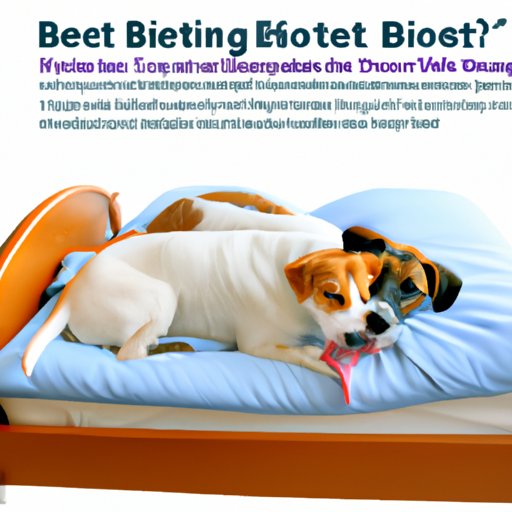 Understanding the Benefits of Dog Bed Licking