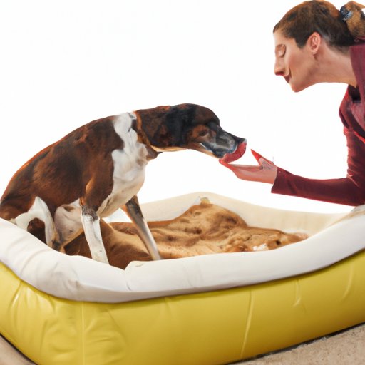 Examining the Comfort Factor in Dog Bed Licking