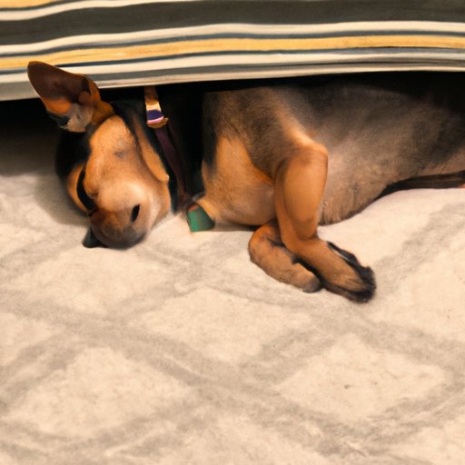 Discovering the Psychological Benefits of Dogs Sleeping Under Beds