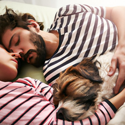 Analyzing How Sleeping Together Can Strengthen the Bond between You and Your Dog