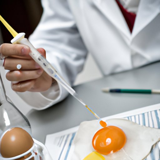 Examining the Molecular Changes During the Cooking of an Egg