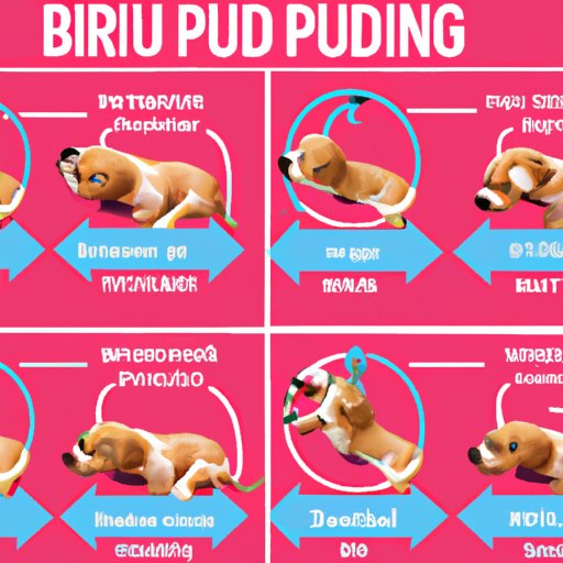 Understanding the Different Causes of Rapid Breathing in Puppies