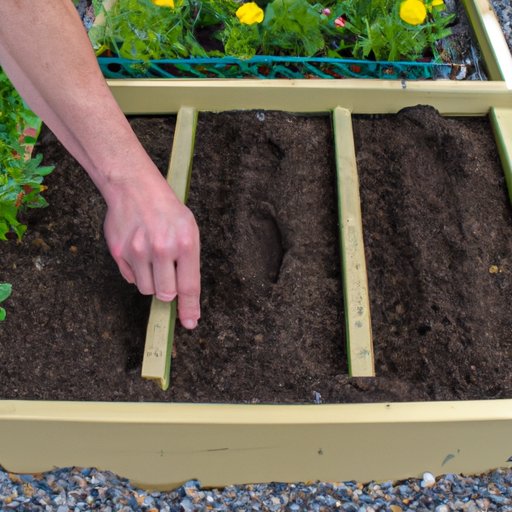 How to Plant and Maintain a Raised Garden Bed