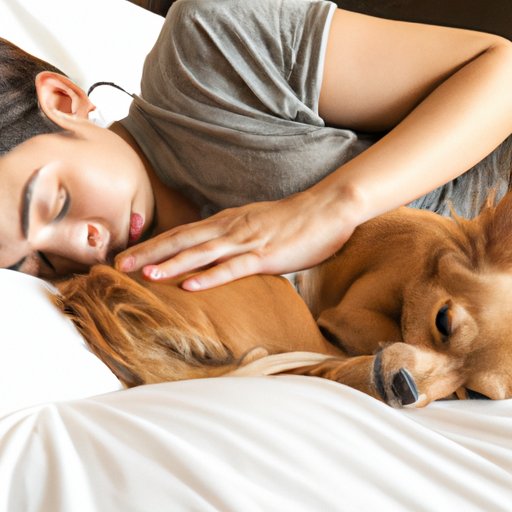 Sleeping with a Dog: Benefits for Women’s Quality of Life