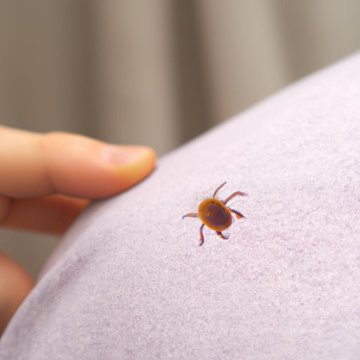 Can Fleas Bite Through Clothes? A Comprehensive Guide