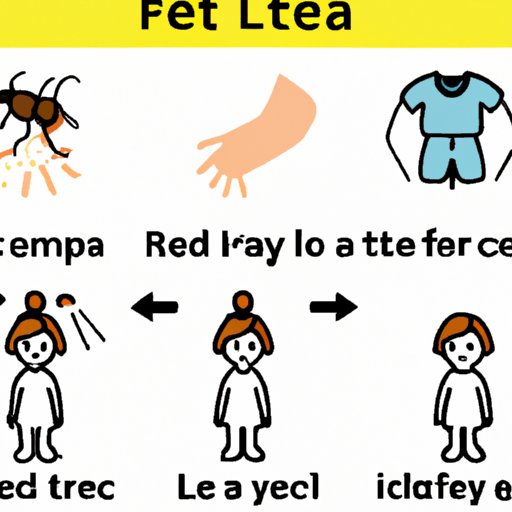 Can Fleas Live on Clothes? How to Prevent and Remove Flea Infestations