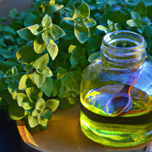 Can I Take Oil of Oregano Before Bed? Exploring the Benefits and Risks