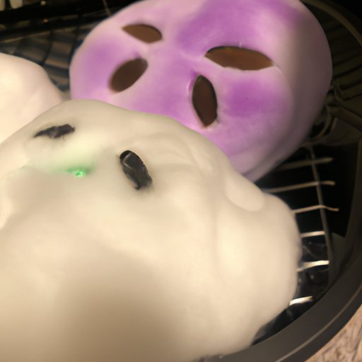 Can Squishmallows Go in the Dryer? A Comprehensive Guide