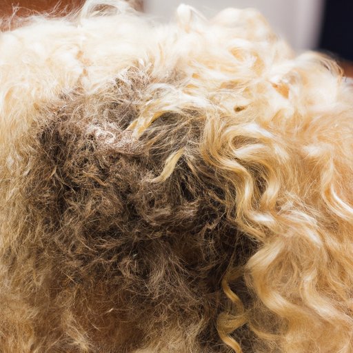 Can You Perm Bleached Hair? A Step-by-Step Guide
