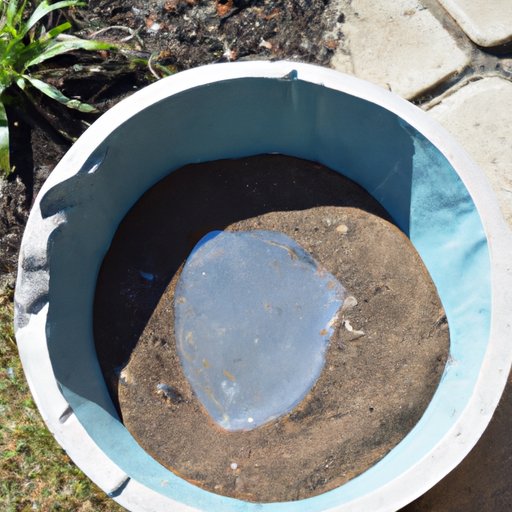DIY Bird Bath: A Step-by-Step Guide to Building an Inexpensive and Attractive Bird Bath