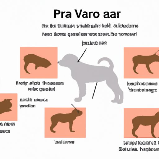 How Long Can Parvo Live on Human Skin? Understanding the Lifespan of Canine Parvovirus
