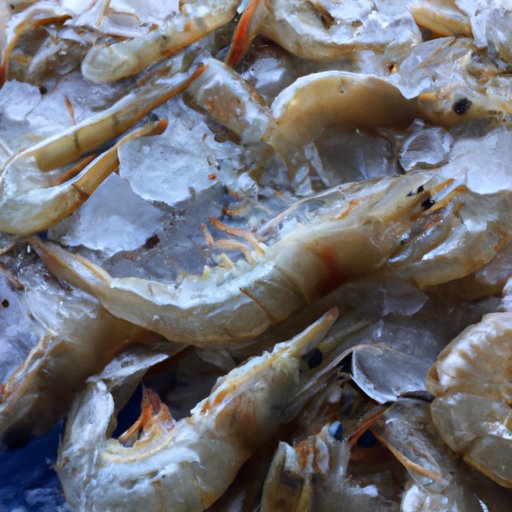 How Long Can You Keep Frozen Shrimp in the Freezer?