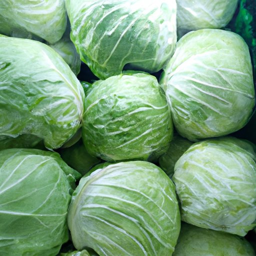 How Long Does Cabbage Last in the Refrigerator?