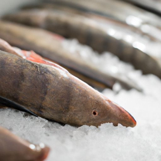 How Long Does Fish Stay Fresh in the Freezer?