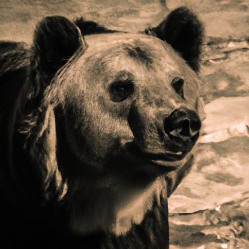 How Many Bears Are in the World? A Look at Global Bear Populations and Conservation Efforts