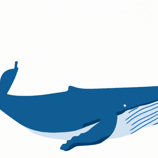 How Many Blue Whales are Left in the World? Exploring the Plight of the