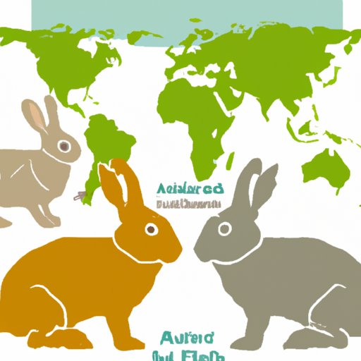 How Many Rabbits Are In The World? A Global Survey