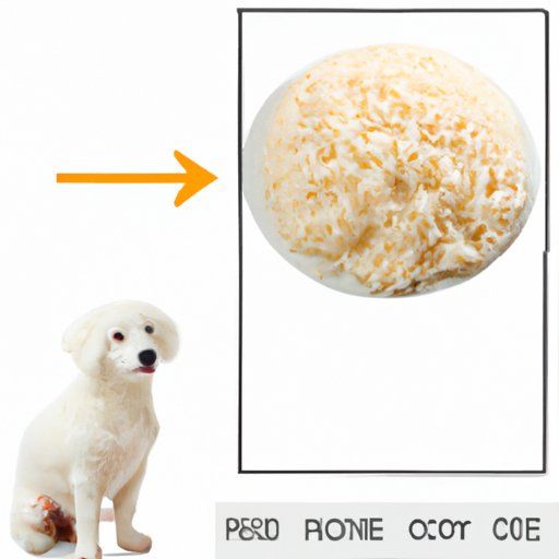 How Much Chicken and Rice Should You Feed Your Dog?