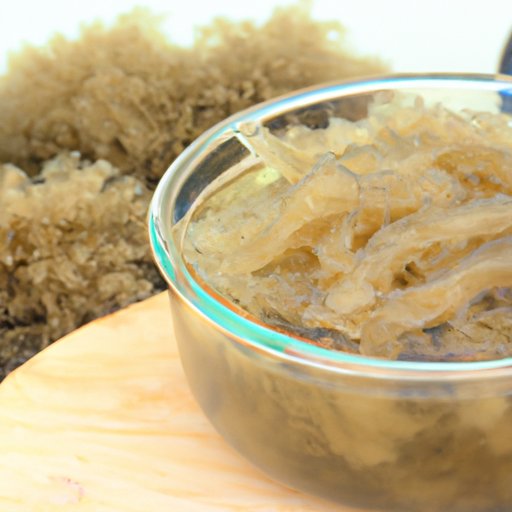 How Much Sea Moss Gel to Take Daily: Benefits and Recommended Dosage