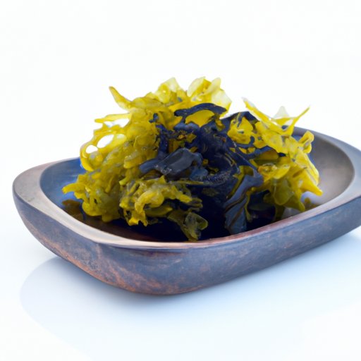 Sea Moss: How Much Should You Take Daily for Optimal Health?