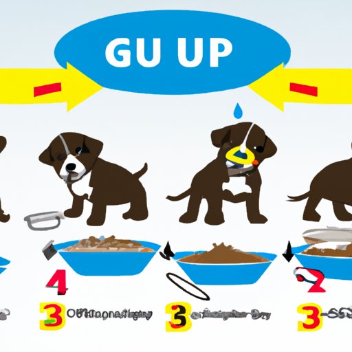 How Much to Feed a Puppy by Age – A Detailed Guide