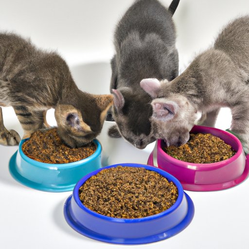 Wet Food for Kittens: How Much Should You Feed?