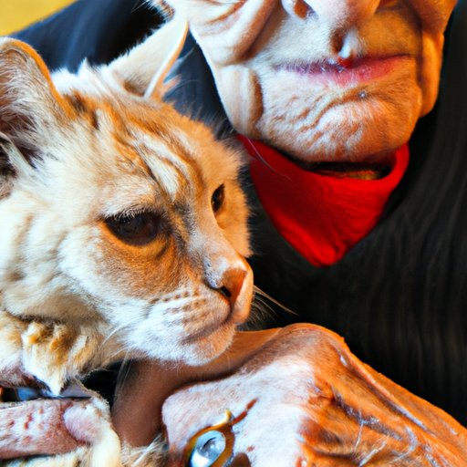 Exploring How Old is the Oldest Cat in the World