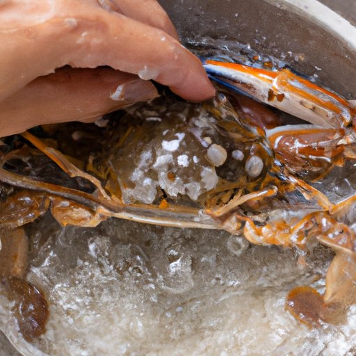 How to Clean a Crab Before Cooking: A Step-by-Step Guide