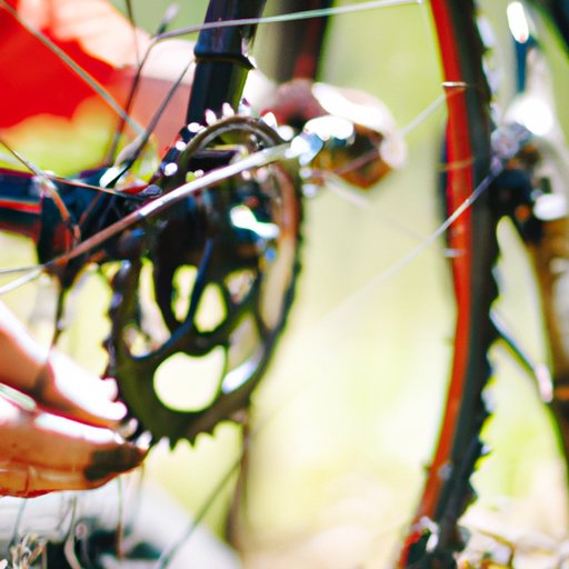 How to Clean a Mountain Bike: A Step-by-Step Guide