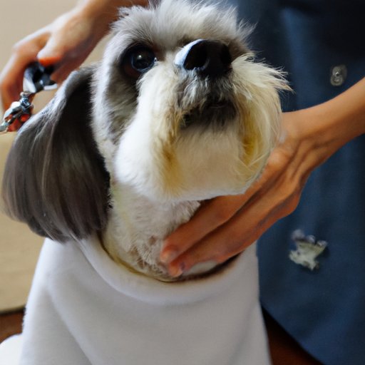 How to Cut Your Dog’s Hair at Home: A Step-by-Step Guide