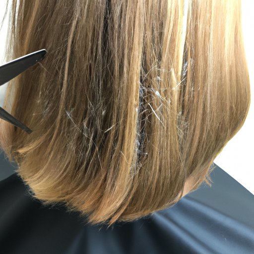 How to Cut the Back of Your Hair as a Female | The Step-by-Step Guide
