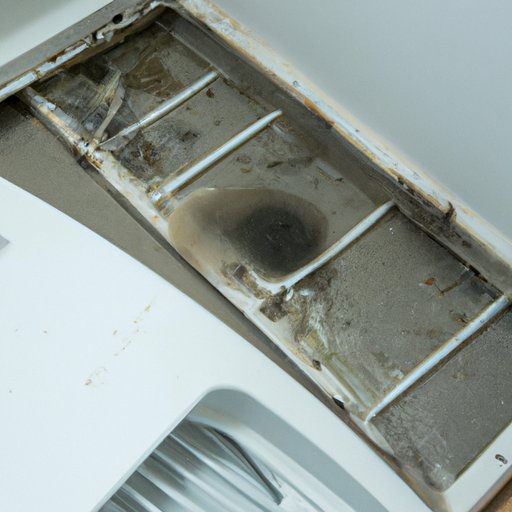 Getting Rid of Bathroom Mold: A Comprehensive Guide