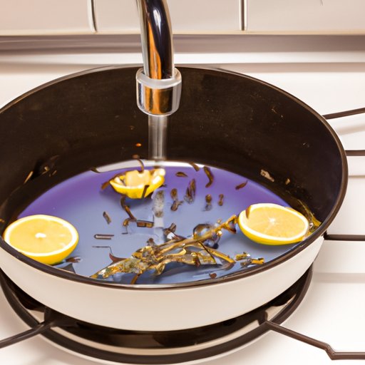 Getting Rid of Gnats in the Kitchen Sink: 5 Effective Solutions