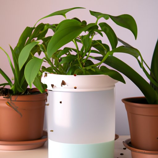 Getting Rid of Indoor Plant Gnats: Tips and Solutions