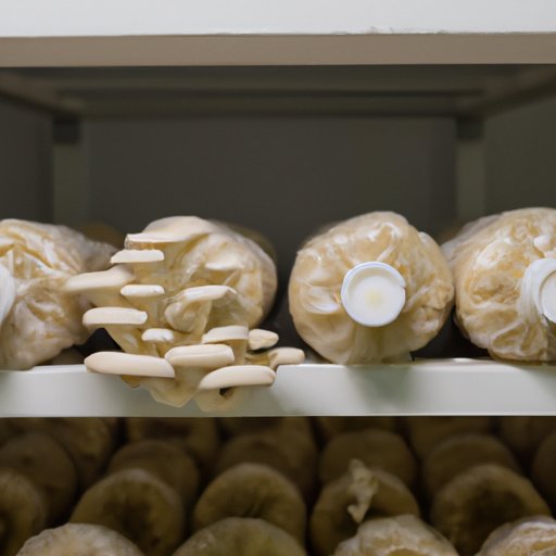 Growing Mushrooms Indoors: A Step-by-Step Guide
