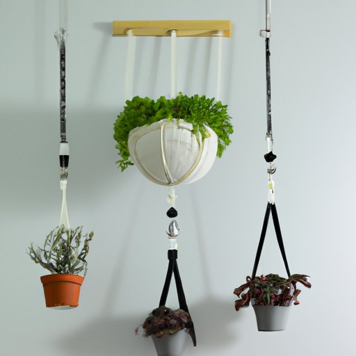How to Hang Plants from the Ceiling: Different Methods and Step-by-Step Guides
