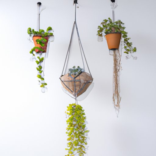 How to Hang Plants from the Ceiling: A Step-by-Step Guide
