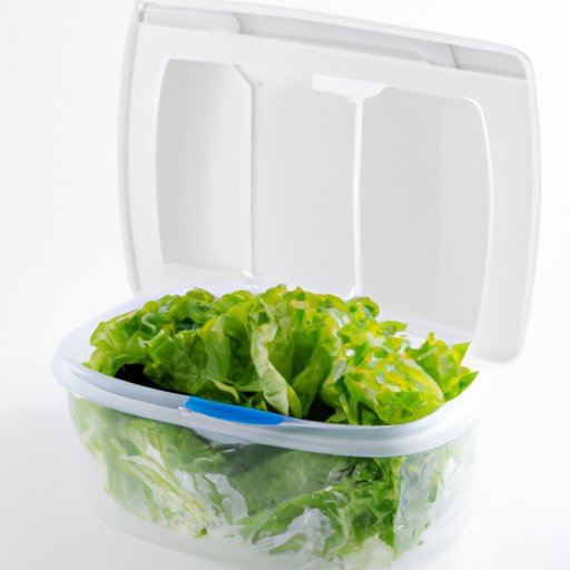 How to Keep Lettuce Fresh in the Refrigerator