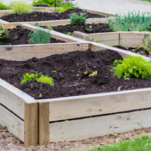 How to Create a Beautiful Garden with Raised Beds: A Step-by-Step Guide