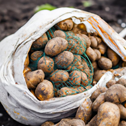How to Plant Potatoes in a Bag: A Step-by-Step Guide