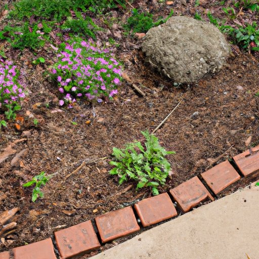 Preventing Weeds in Flower Beds: Strategies for a Weed-Free Garden