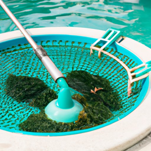 How to Remove Algae from Pool without a Vacuum: Tips and Advice