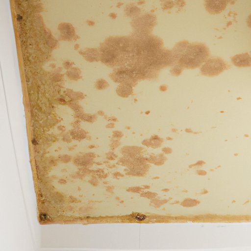 How to Remove Mold from Ceiling – Solutions for a Cleaner Home