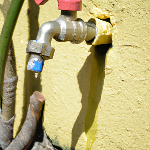 How to Repair a Leaky Outdoor Faucet: A Step-by-Step Guide